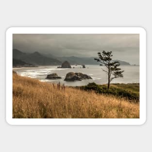 The Subtle Elegance Of The Oregon Coast - 1 © Sticker
